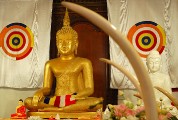 Chrám Buddhova zubu - Buddha