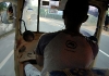 Tuk-tuk