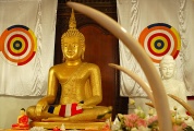 Chrám Buddhova zubu - Buddha Chrám Buddhova zubu - Buddha
